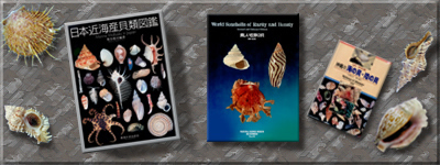 日本国内の貝類関係の書籍・海洋生物関係の書籍